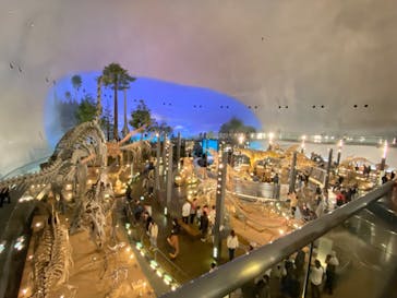 福井県立恐竜博物館に投稿された画像（2023/11/19）