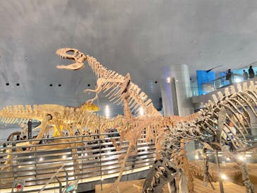 福井県立恐竜博物館に投稿された画像（2023/11/19）
