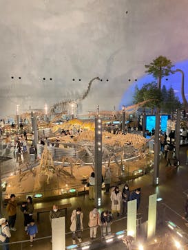 福井県立恐竜博物館に投稿された画像（2023/11/19）