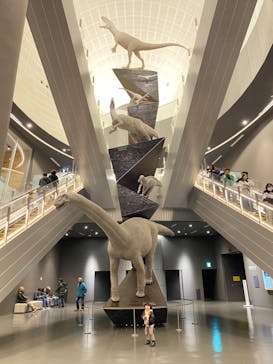 福井県立恐竜博物館に投稿された画像（2023/11/19）