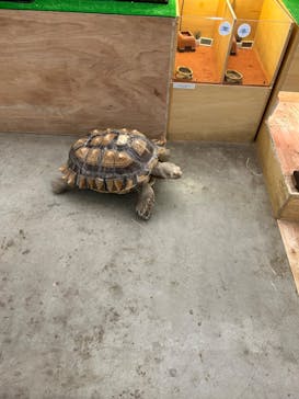 Moff アニマル カフェ イーアス 高尾店に投稿された画像（2023/11/19）