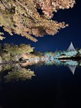 国営昭和記念公園 秋の夜散歩に投稿された画像（2023/11/19）