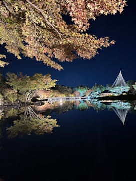 国営昭和記念公園 秋の夜散歩に投稿された画像（2023/11/19）