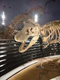 福井県立恐竜博物館に投稿された画像（2023/11/19）