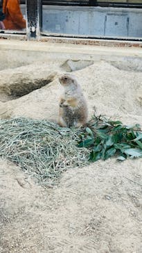 名古屋市東山動植物園に投稿された画像（2023/11/19）