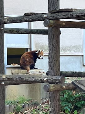 千葉市動物公園に投稿された画像（2023/11/19）