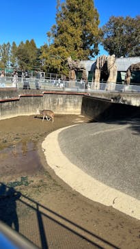 東武動物公園に投稿された画像（2023/11/19）