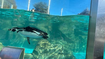 東武動物公園に投稿された画像（2023/11/19）