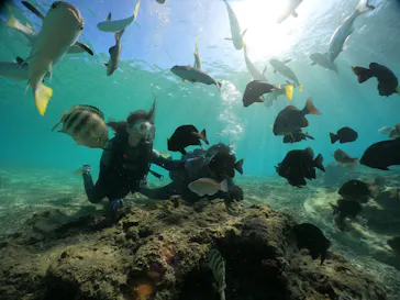 武藤潜水に投稿された画像（2023/11/19）