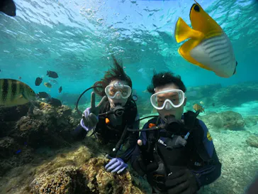 武藤潜水に投稿された画像（2023/11/19）