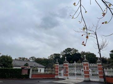 博物館 明治村に投稿された画像（2023/11/19）