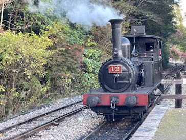 博物館 明治村に投稿された画像（2023/11/19）