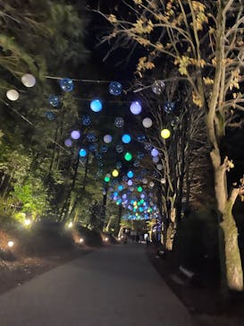 ムーミンバレーパークに投稿された画像（2023/11/19）