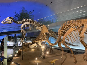 福井県立恐竜博物館に投稿された画像（2023/11/19）