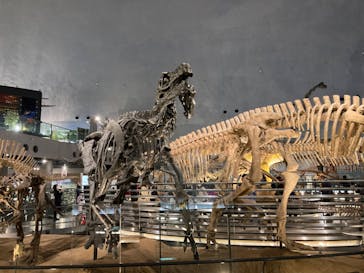 福井県立恐竜博物館に投稿された画像（2023/11/19）