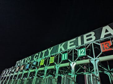 東京メガイルミに投稿された画像（2023/11/19）