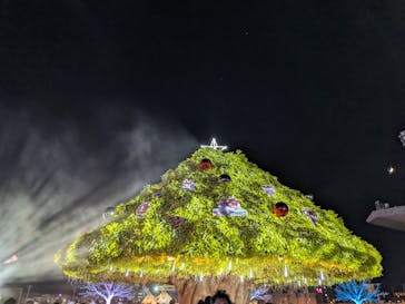 東京メガイルミに投稿された画像（2023/11/19）