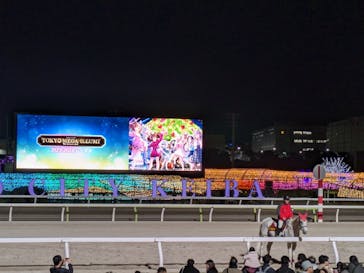 東京メガイルミに投稿された画像（2023/11/19）