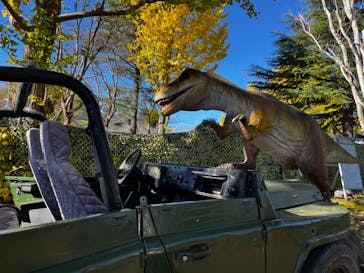 千葉こどもの国 キッズダムに投稿された画像（2023/11/19）