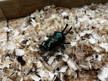 千葉こどもの国 キッズダムに投稿された画像（2023/11/19）