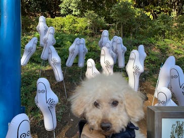 ムーミンバレーパークに投稿された画像（2023/11/19）