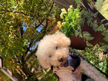 ムーミンバレーパークに投稿された画像（2023/11/19）