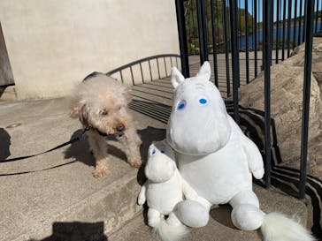 ムーミンバレーパークに投稿された画像（2023/11/19）