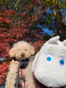 ムーミンバレーパークに投稿された画像（2023/11/19）