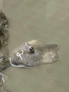 AOAO SAPPOROに投稿された画像（2023/11/19）