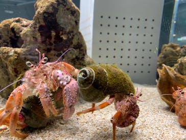 AOAO SAPPOROに投稿された画像（2023/11/19）