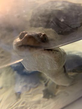 AOAO SAPPOROに投稿された画像（2023/11/19）