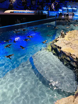 すみだ水族館に投稿された画像（2023/11/19）