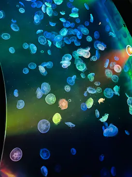 すみだ水族館に投稿された画像（2023/11/19）