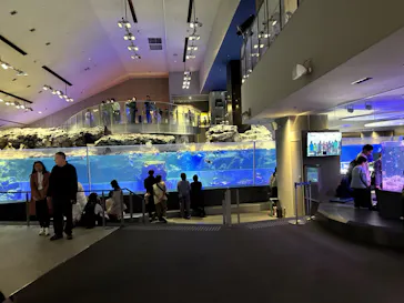 すみだ水族館に投稿された画像（2023/11/19）