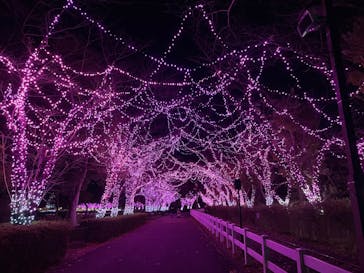 東武動物公園に投稿された画像（2023/11/19）