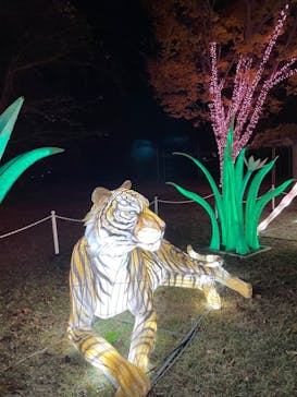 東武動物公園に投稿された画像（2023/11/19）