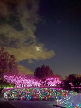 東武動物公園に投稿された画像（2023/11/19）