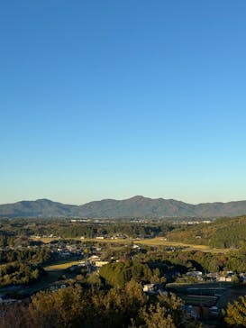 いばらきフラワーパークに投稿された画像（2023/11/19）