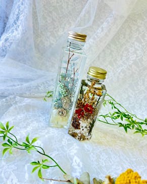 ずこうしつ〜sugamo〜に投稿された画像（2023/11/19）