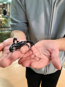 いきもの探検隊上尾に投稿された画像（2023/11/19）