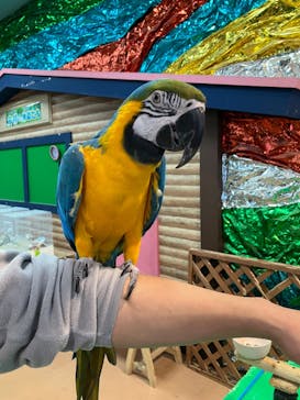 いきもの探検隊上尾に投稿された画像（2023/11/19）