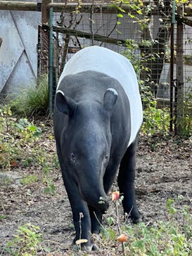 名古屋市東山動植物園に投稿された画像（2023/11/19）