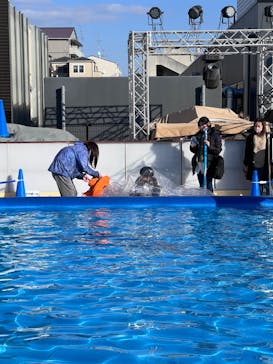 ビバスクエア京都に投稿された画像（2023/11/19）