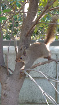 神戸どうぶつ王国に投稿された画像（2023/11/19）