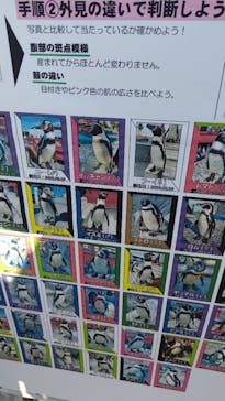 南知多ビーチランド＆南知多おもちゃ王国に投稿された画像（2023/11/19）