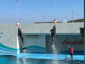 南知多ビーチランド＆南知多おもちゃ王国に投稿された画像（2023/11/19）