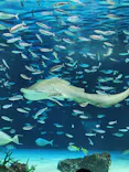 サンシャイン水族館に投稿された画像（2023/11/19）