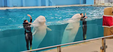 横浜・八景島シーパラダイスに投稿された画像（2023/11/19）