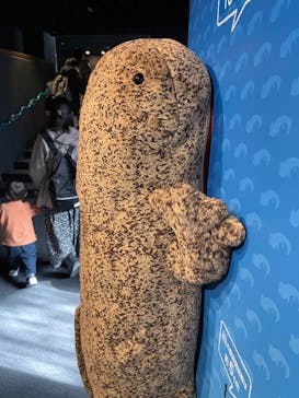 京都水族館に投稿された画像（2023/11/19）