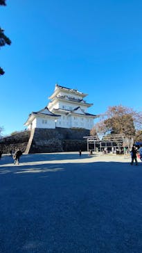 小田原城に投稿された画像（2023/11/19）
